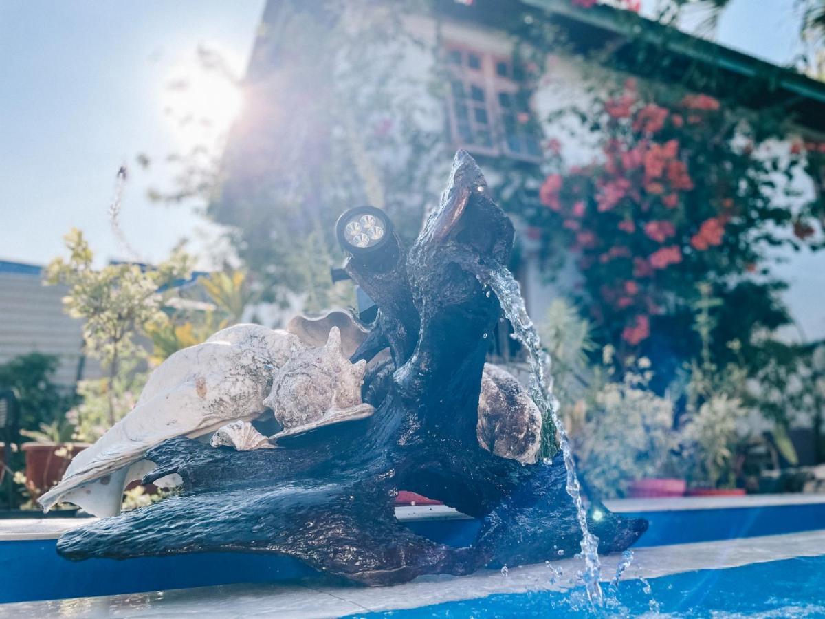 Cool Breeze Authentic Hotel Labuan Bajo Komodo 외부 사진